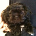 Gary Hans - @GaryHansDerby - Twitter