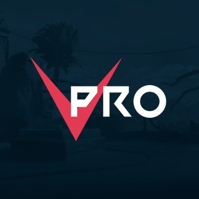 VALORANTPROさんのプロフィール画像