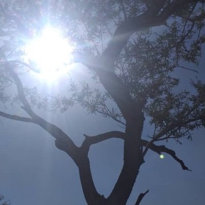 Phibes16's profile picture. There is enough for us all in the world. Let’s allocate and share equitably.