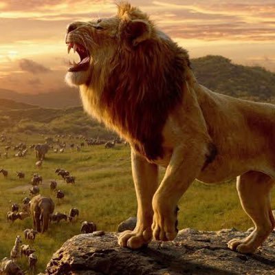 0frod's profile picture. 