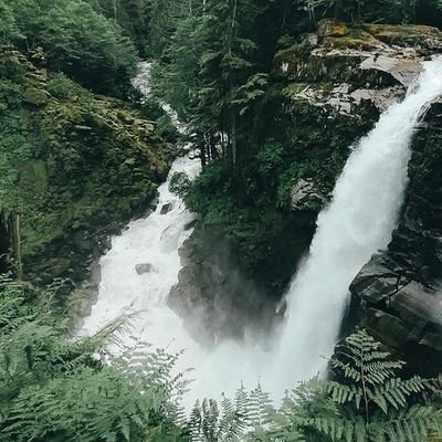 Beautif18277333's profile picture. Aim to live a beautiful life