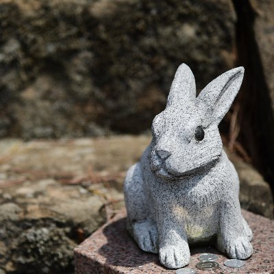 湖田屋(こだや)さんのプロフィール画像