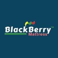 Black Berry Mattress (Jaipur) (@bbmattress) Twitter profile photo
