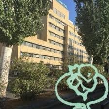 Servicio de Ginecología y Obstetricia del Hospital Universitario Materno Infantil Virgen de las Nieves de Granada (España)