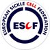 European Sickle Cell Federation (@escfederation) Twitter profile photo European Sickle Cell Federation (@escfederation) Twitter profile photo