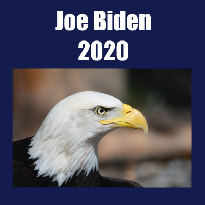 Proud Joe Biden supporter. Committed to voting out GOP. Anti-Trump, Anti-FOX.