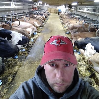 dairy farmer, mostly jerseys, 160 total, sports fan, go lc tigers! 🇺🇸