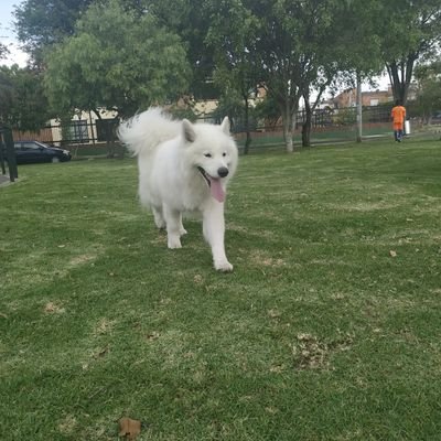 maparrago's profile picture.