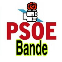 PSdeG-PSOE Bande-Baixa Limia /❤(@BandeXuresBio) 's Twitter Profile Photo