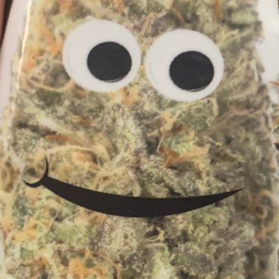 hesleywenderson's profile picture. I have no idea what I’m doing