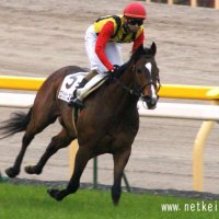 discreet (@discreet_makon) 's Twitter Profile