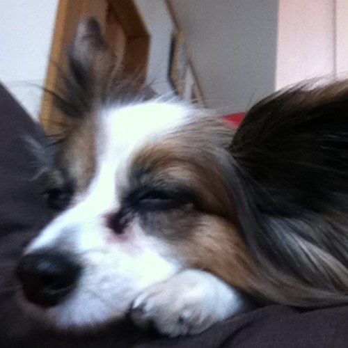 TwoDownNeiro's profile picture. 