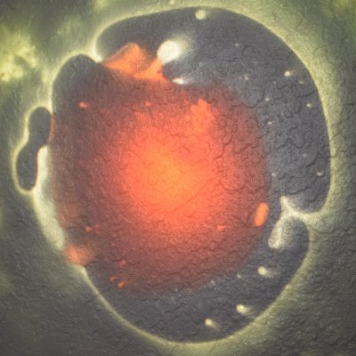 EarlTheTweeter's profile picture. VJ creating Live Visuals and Music Related Video Art