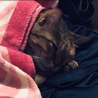 Photoray1222's profile picture. 