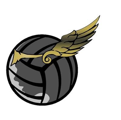 VoleyUVa's profile picture. Dedicado al voleibol femenino de Valladolid, en especial al de la Universidad de Valladolid y sus categorias menores (Miguel de Cervantes)