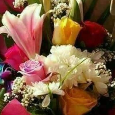 AArtinin's profile picture. hello everyone