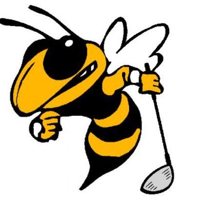 Freeport Area High School's Varsity & JV Golf Twitter page.