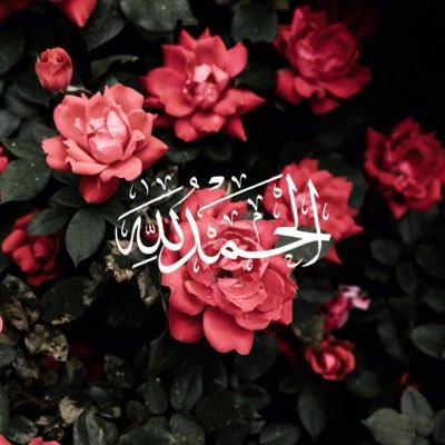 #غايتي رضى الله والجنة🌹 ﴿بل تُؤثرون الحياة الدنيا۝والآخرة خيروأبقى﴾ 