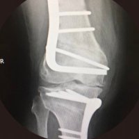Karen E Longhurst (@longhurst_e) 's Twitter Profile Photo Karen E Longhurst (@longhurst_e) 's Twitter Profile Photo