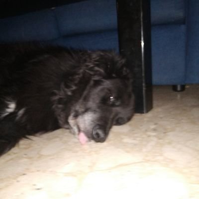 Alejoman17's profile picture.