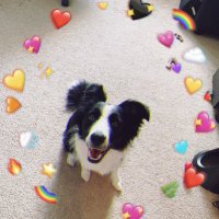 Yipei Song (@yipeisong) 's Twitter Profile