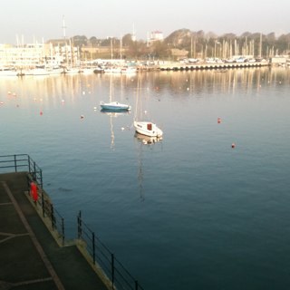 billinelson's profile picture. 