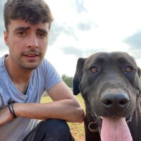 Joan Perelló (@forneer8) 's Twitter Profile