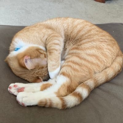 Dstankiewicz69's profile picture. Family man, Veteran, Independent(currently lean left because right is too extreme), Philadelphia sports fan