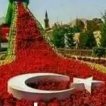 HiUstfa's profile picture. 6 Şubat 2023 04.17 gece unutma sakın