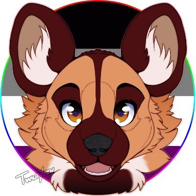 ᐰ Quiran the wild dog ᐰさんのプロフィール画像