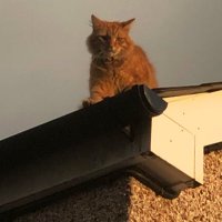 huwe sycal (@lucas611) 's Twitter Profile