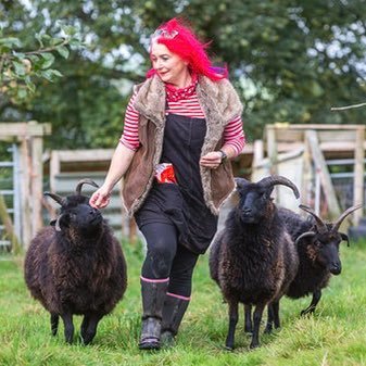 Known amongst friends as 'The Hebridean Sheep Geek' keeps rare breed sheep, pigs,chickens, geese. Campaigns for, & practices high welfare farming.