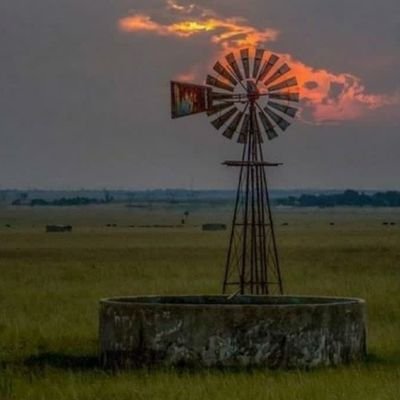 Trots Boer, trots Afrikaans. Ons vir jou Suid Afrika!