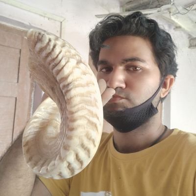 we are specialist manufacturer of the shofar all size for everyone and 
more horn handicraft items 
contact us for the good quality and best price visit and see