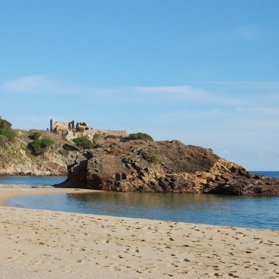 boixonet's profile picture. Palamós. Tranquil i curiós .  
Emparellat amb en Quim i pares d'en  Max i la Bruixa.