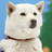 manutam's profile image