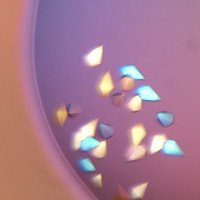 KleinLab_Yale (@ewaldssphere) 's Twitter Profile