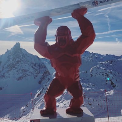 pythonnoob42's profile picture. Ingénieur qui aime commenter les sujets finance/écologie/politique/tech