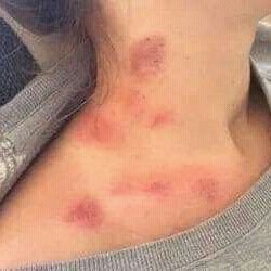 Lolo35796772's profile picture. ‏‏‏نيك و ‏تمنيك ودراهم 👙👙
‎‎‎#شيكوره على طيز مك
نيك بداهم ونقلشك بدراهم ونزهيك بدراهم.
لي حابه تجي لبجايه وتخدم قحبه تحكي معاي
#مطلقه