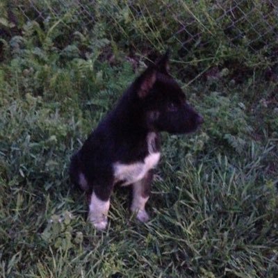 MV3215's profile picture. Everybody is crazy! Don't be surprised when they act like they're crazy.... If I disagree with you.. does it have to mean I can't love you? wisdom for free