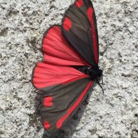 kathy (@kathy84165641) 's Twitter Profile