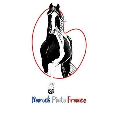 L'association à pour but la promotion du cheval Barock Pinto en France.