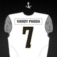 Vandy Panda(@cwgleason7) 's Twitter Profile Photo