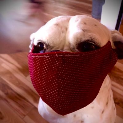 Gailshelley67's profile picture. Practice Manager