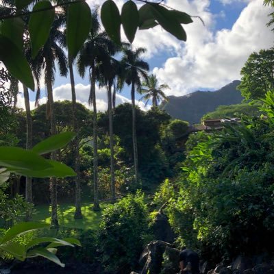 Allen81790595's profile picture. Living in Hawaii, from CHN