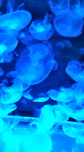 jam200601's profile picture. 