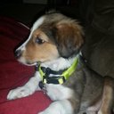 jeremy balcom - @balcom_jeremy - Twitter