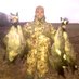 Cody Powers (@codympowers) Twitter profile photo Cody Powers (@codympowers) Twitter profile photo