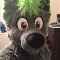 The DawgLawyer went to FWA(@adventure_dawg) 's Twitter Profile Photo