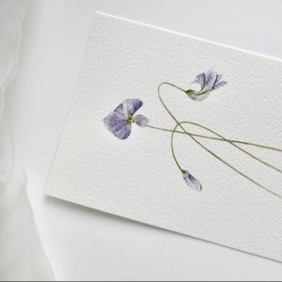 zoz8888's profile picture. 